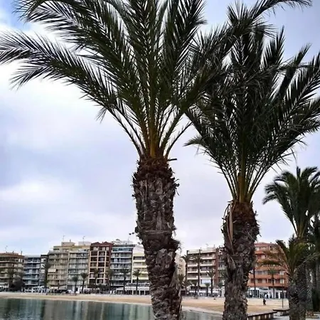Calle De Palangre 17 Torrevieja